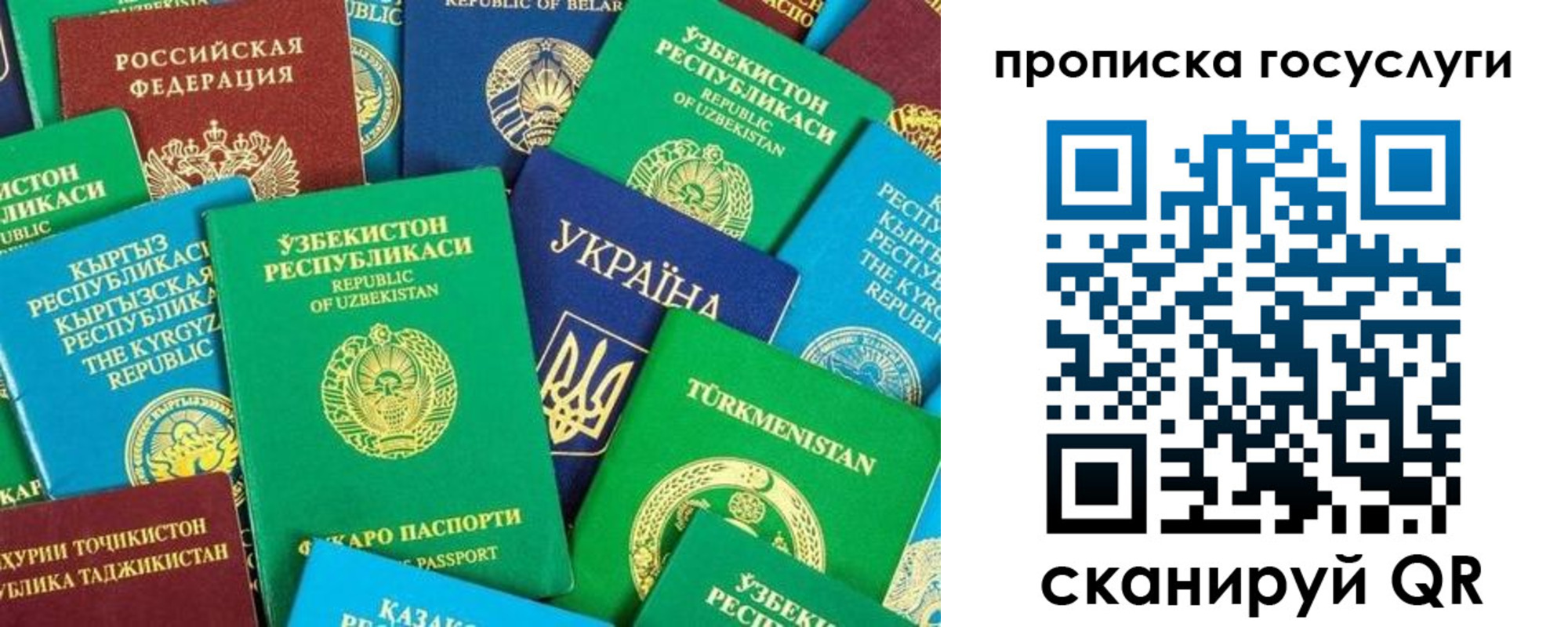 временная регистрация для всех в Сураже